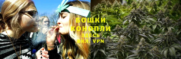 МДПВ Сосновка