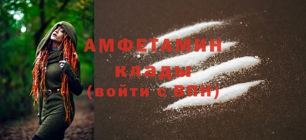 прущие грибы Сосновоборск