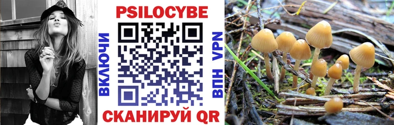 Галлюциногенные грибы Psilocybine cubensis  нарко площадка телеграм  Кизел 